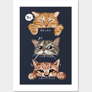 relax, curious, cautious cat Posters and Art